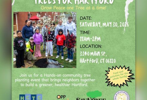 Trees for Hartford Program - 2026 West Indian Social Club of Hartford
