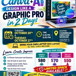 Design Like a Graphic Pro in 2 Days - Learn Canva + AI