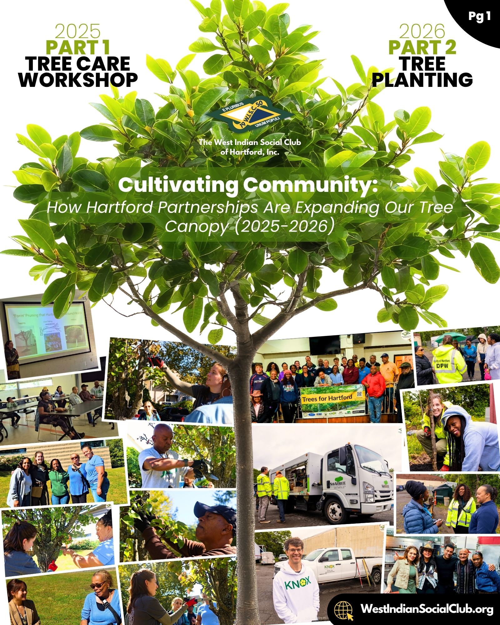 Cultivating Community: How Hartford Partnerships Are Expanding Our Tree Canopy (2025-2026) - Community volunteers and partners planting new lilac trees at the West Indian Social Club of Hartford during a community greening event for the Capital Forest Stewardship Initiative.